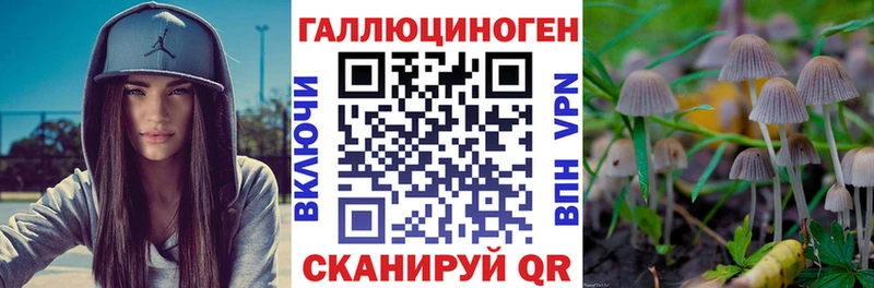 цена наркотик  Магас  Псилоцибиновые грибы Psilocybine cubensis 